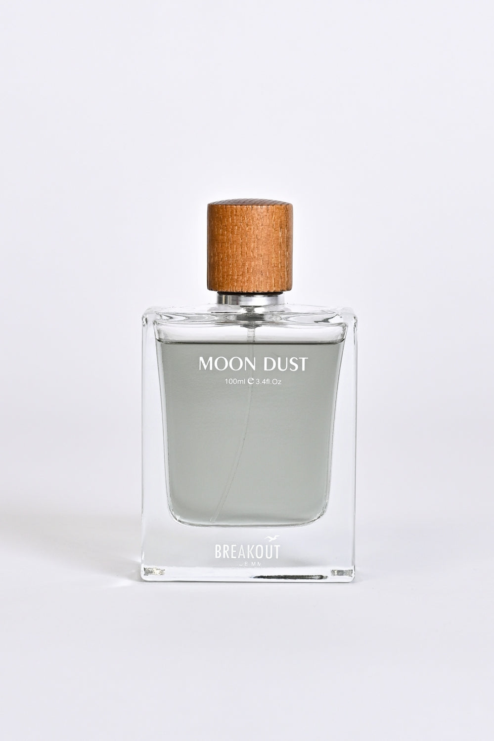 MOON DUST