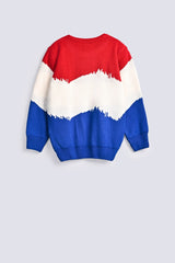 BOYS COLOR BLOCK SWEATER