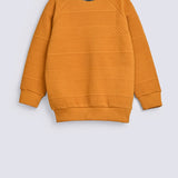 BOYS SPECIAL KNIT RAGLAN SLEEVE SWEAT SHIRT