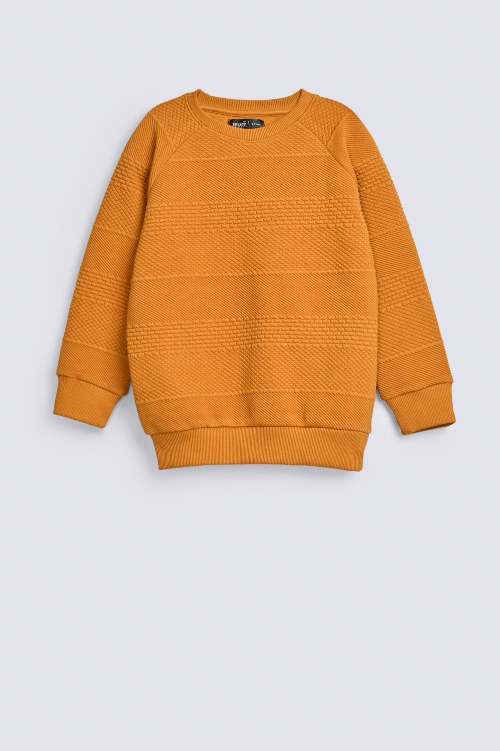 BOYS SPECIAL KNIT RAGLAN SLEEVE SWEAT SHIRT