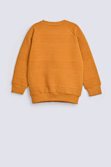 BOYS SPECIAL KNIT RAGLAN SLEEVE SWEAT SHIRT