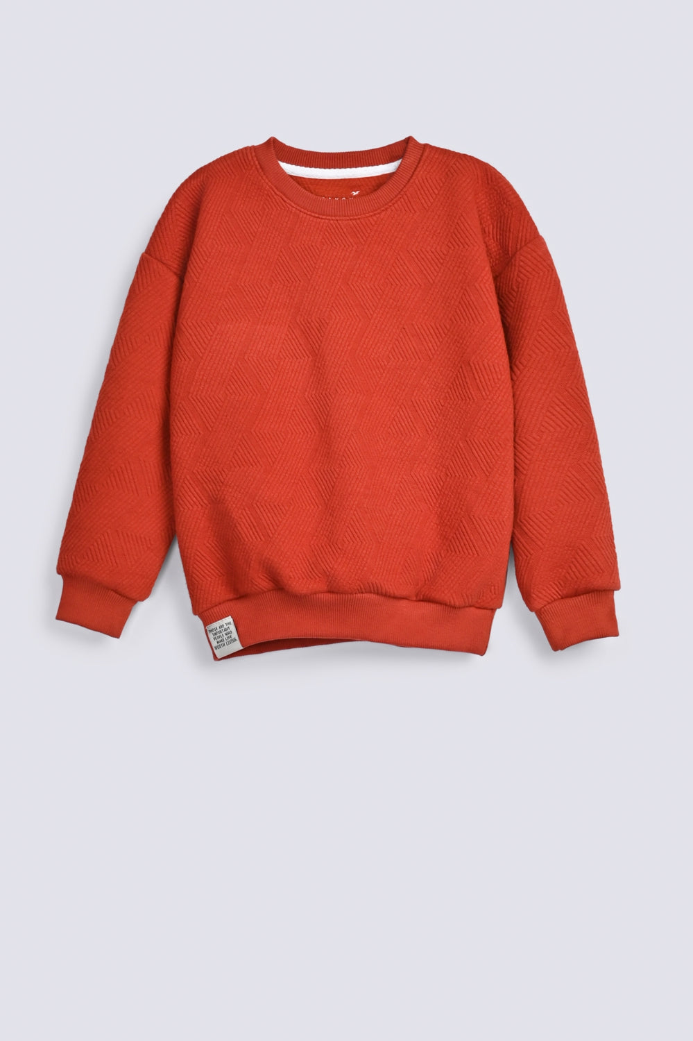 BOYS DROP SHOULDER TEXTURED SWEAT SHIRT